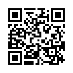 T38033-11-0 QRCode