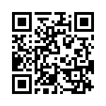 T38033-22-0 QRCode