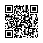 T38038-05-0 QRCode