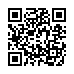 T38038-20-0 QRCode