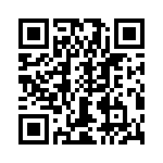 T38045-12-0 QRCode