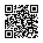 T38060-12-0 QRCode