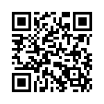 T38063-13-0 QRCode