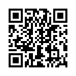 T38070-13-0 QRCode