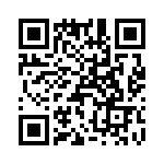 T38071-22-0 QRCode