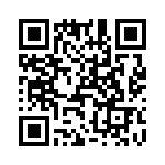 T38072-17-0 QRCode