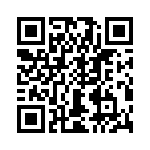 T38075-02-0 QRCode