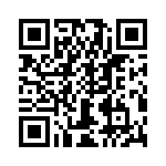 T38100-06-0 QRCode