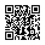 T38102-04-0 QRCode