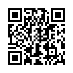 T38102-12-0 QRCode