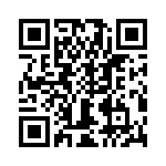 T38103-04-0 QRCode