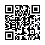 T38108-04-0 QRCode