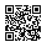 T38110-12-0 QRCode