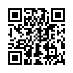 T38112-04-0 QRCode