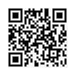 T38113-04-0 QRCode