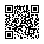 T38120-10-0 QRCode