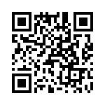 T38121-08-0 QRCode