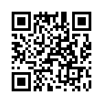 T38125-09-0 QRCode