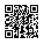 T38132-02-0 QRCode