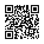 T38132-05-0 QRCode