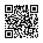 T38168-07-0 QRCode