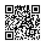 T38233-05-0 QRCode