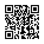 T38310-04-0 QRCode