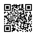 T38313-05-0 QRCode