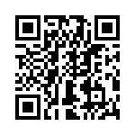 T38313-12-0 QRCode