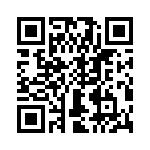 T38333-09-0 QRCode