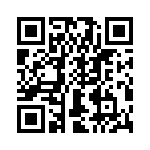 T38333-17-0 QRCode