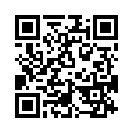 T38363-09-0 QRCode