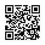 T38363-13-0 QRCode