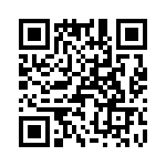 T38367-09-0 QRCode