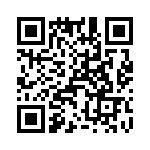 T38410-11-0 QRCode