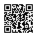 T38410-20-0 QRCode