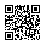 T38411-04-0 QRCode