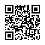 T38420-24-0 QRCode