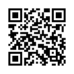 T38425-17-0 QRCode