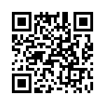 T38428-24-0 QRCode