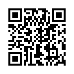 T38430-19-0 QRCode