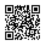 T38440-20-0 QRCode