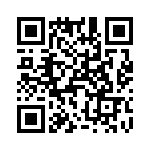 T38441-06-0 QRCode