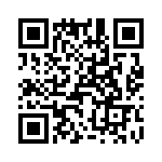 T38462-10-0 QRCode