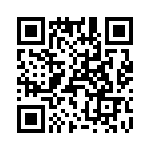 T38523-13-0 QRCode