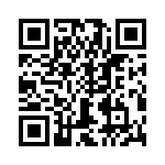 T38525-04-0 QRCode