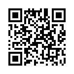 T38527-12-0 QRCode