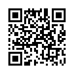 T38531-04-0 QRCode