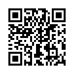 T38531-05-0 QRCode