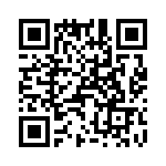 T38532-21-0 QRCode